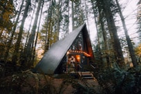 brown wooden house in the woods