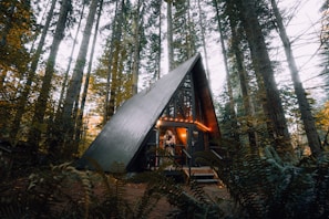 brown wooden house in the woods