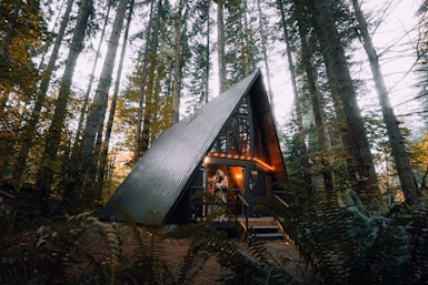 brown wooden house in the woods