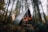 A cozy A-frame cabin nestled in a dense forest, surrounded by tall trees with a blanket of green ferns at the base. Warm lights illuminate the interior and exterior of the cabin, adding a welcoming glow in the midst of the natural setting.