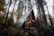A cozy A-frame cabin nestled in a dense forest, surrounded by tall trees with a blanket of green ferns at the base. Warm lights illuminate the interior and exterior of the cabin, adding a welcoming glow in the midst of the natural setting.