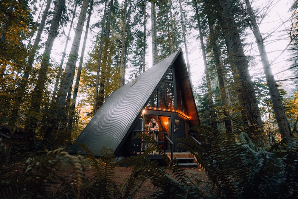 maison en bois marron dans les bois