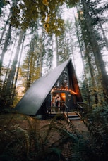 brown wooden house in the middle of forest during daytime