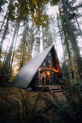 brown wooden house in the middle of forest during daytime