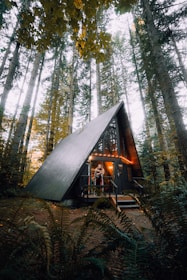 brown wooden house in the middle of forest during daytime