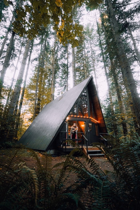 brown wooden house in the middle of forest during daytime