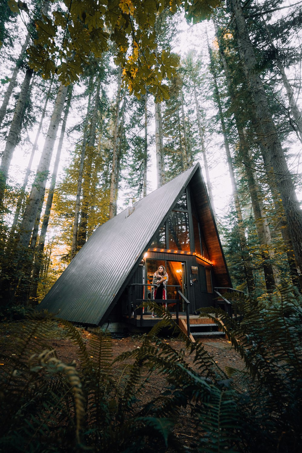 Casa de madera marrón en medio del bosque durante el día