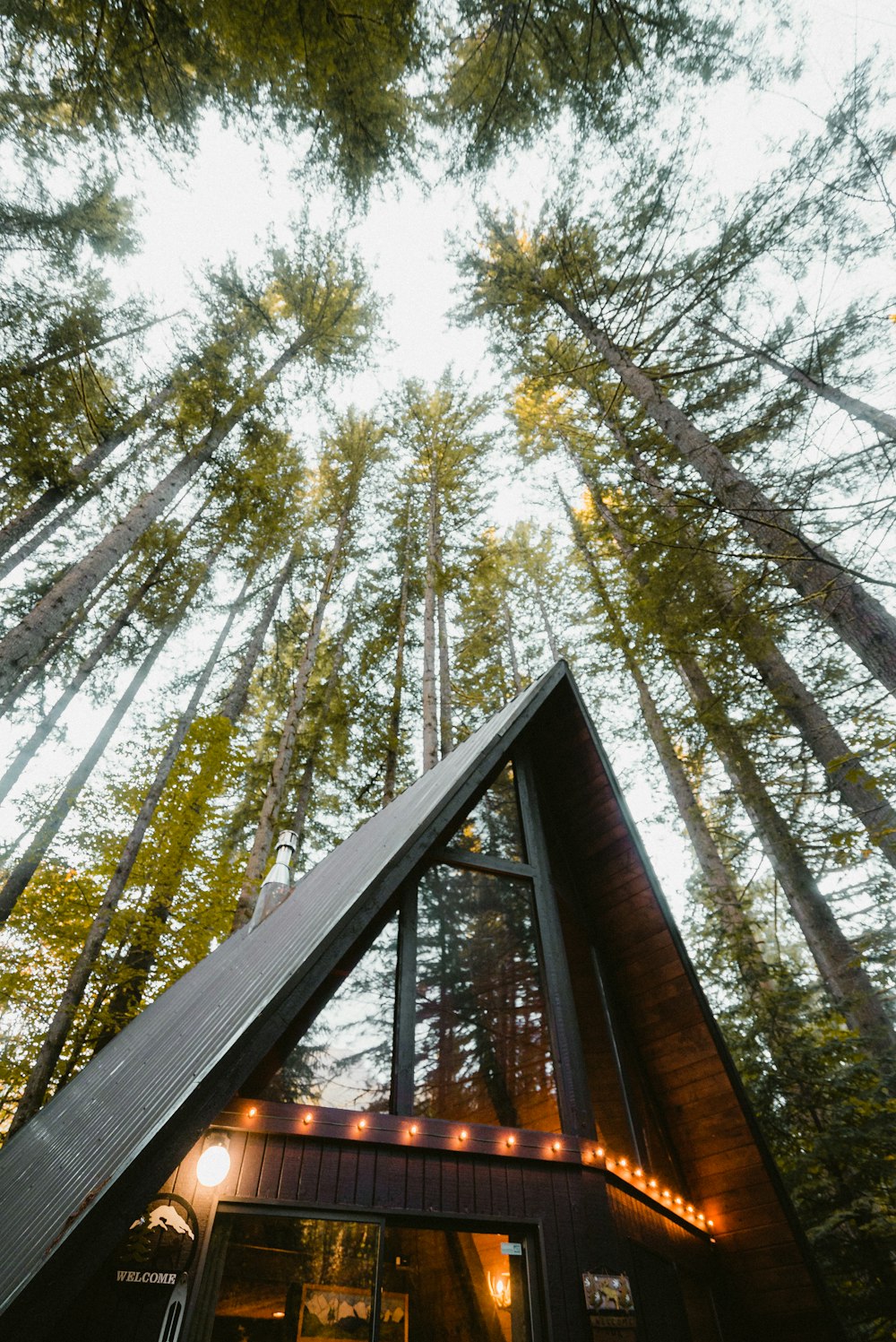 Pont en bois brun dans la forêt pendant la journée