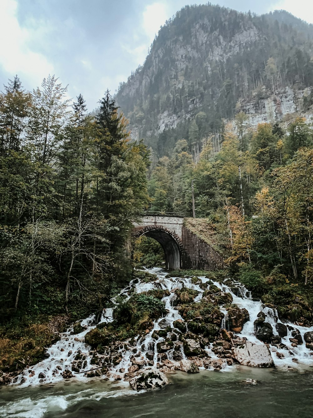 a river flowing under a bridge next to a forest