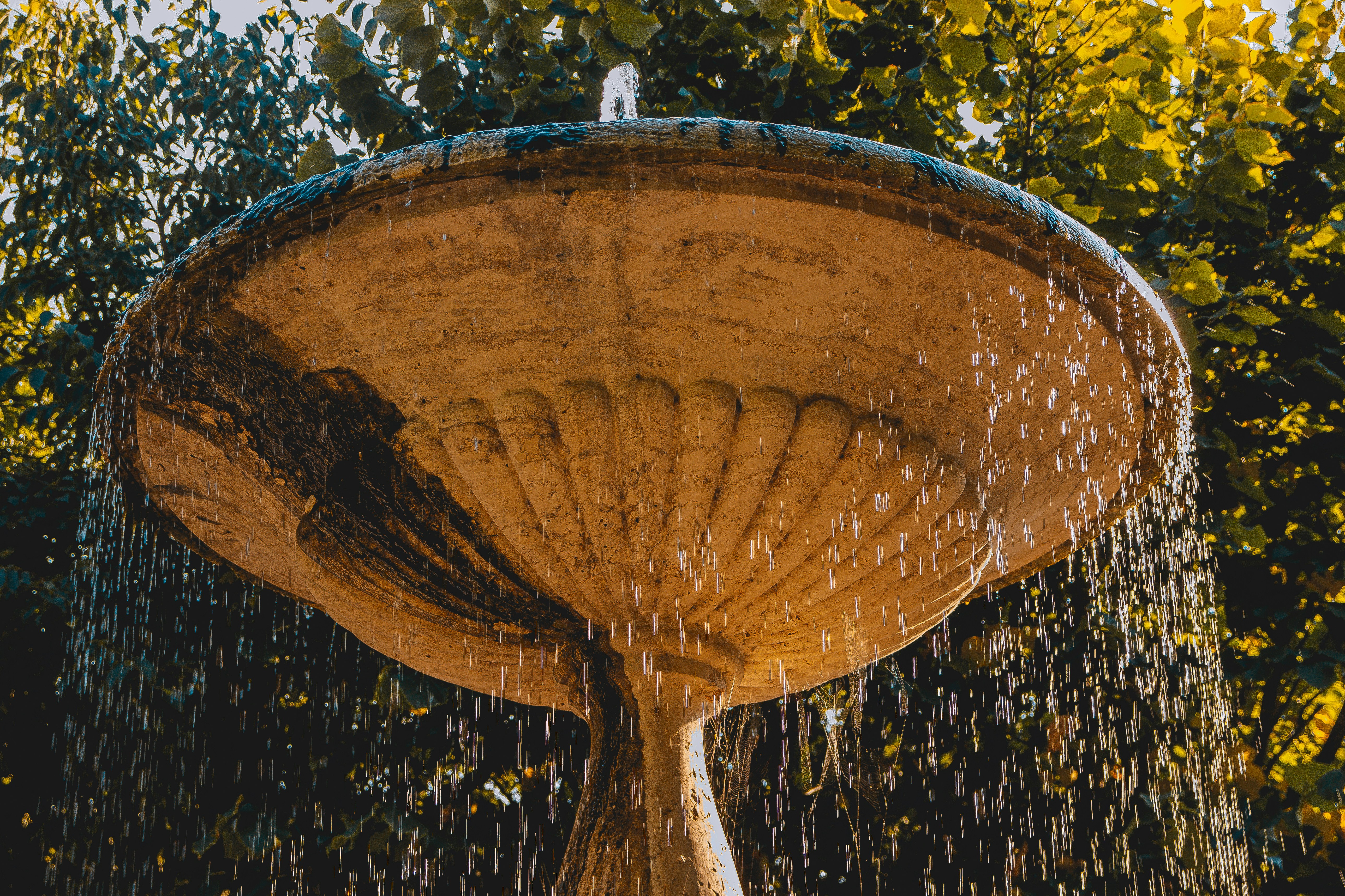 Water Damage Restoration Bisbee Az