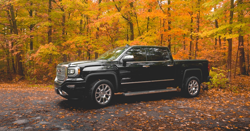 black chevrolet crew cab pickup truck parked near brown trees during daytime