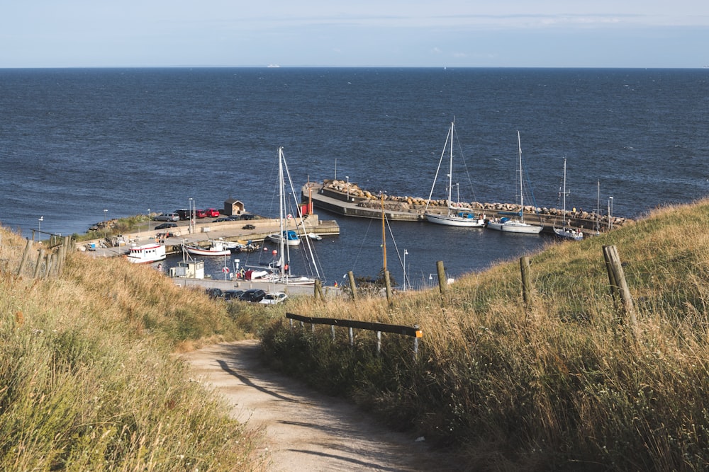 white and black boat on sea during daytime