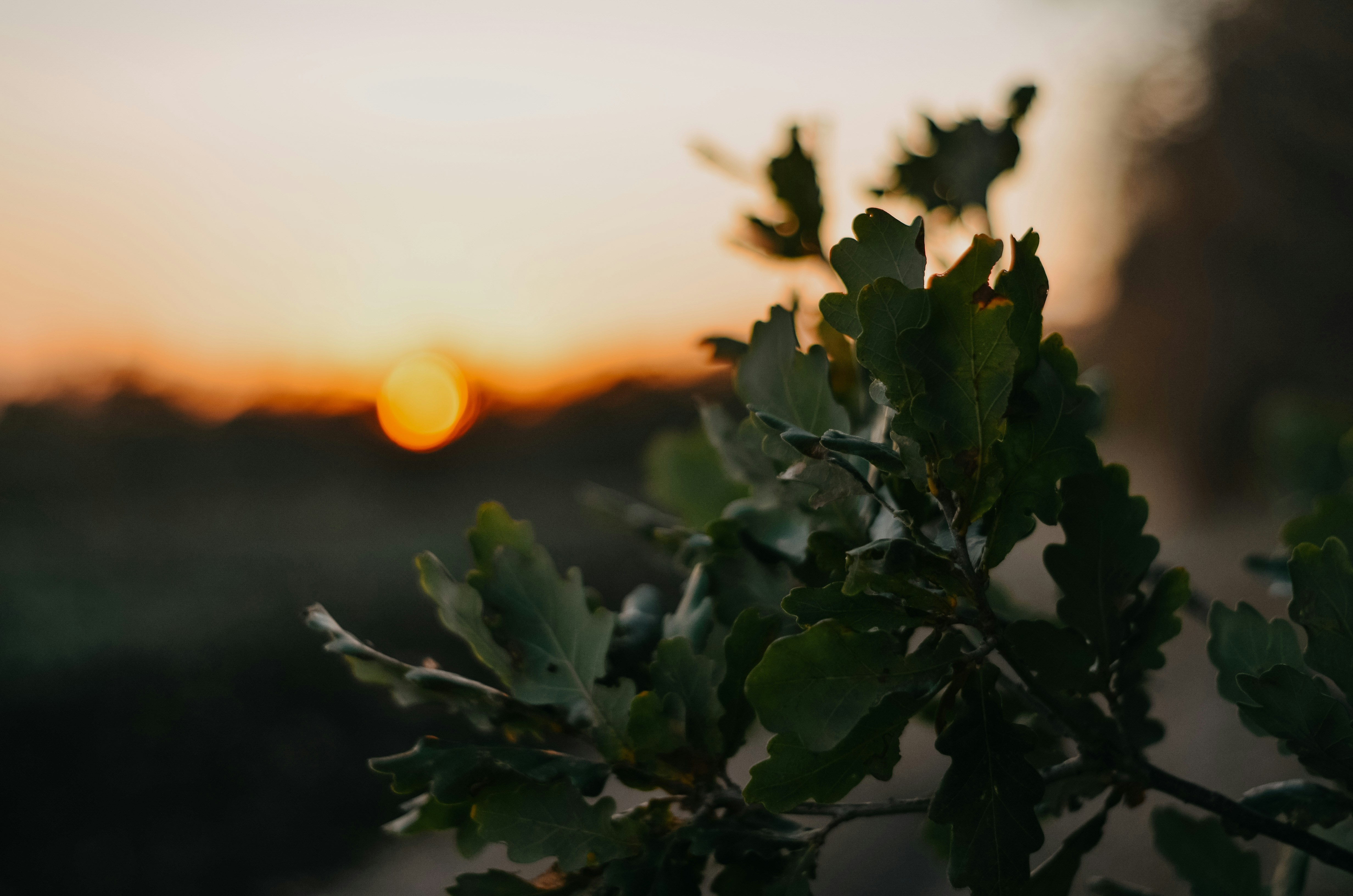 Photo by poliezhaievv