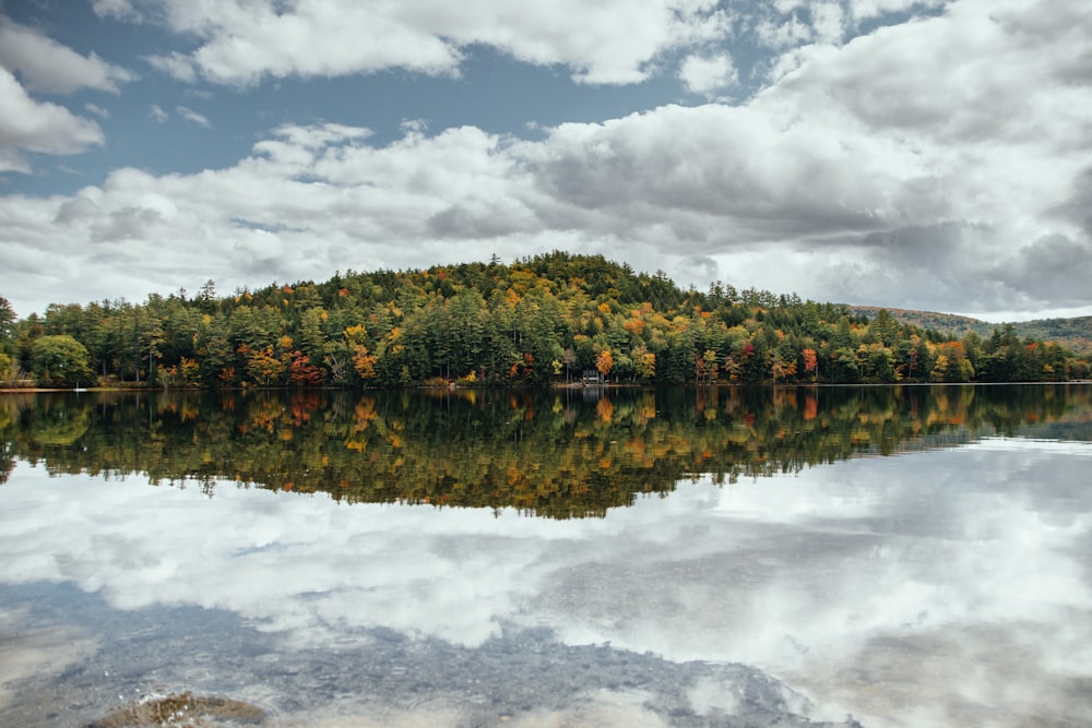 green trees beside body of water under cloudy sky during daytime