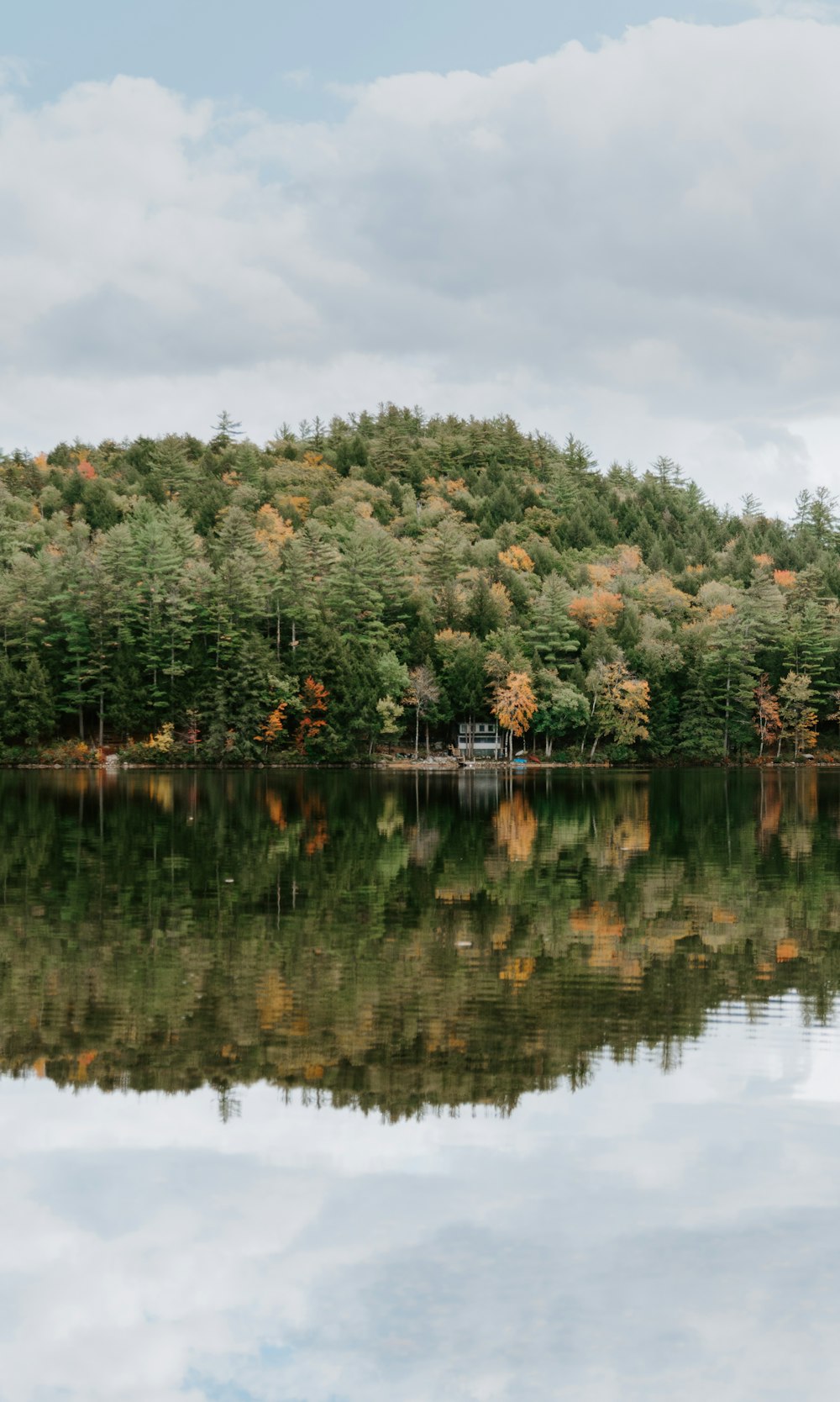 alberi verdi accanto allo specchio d'acqua durante il giorno