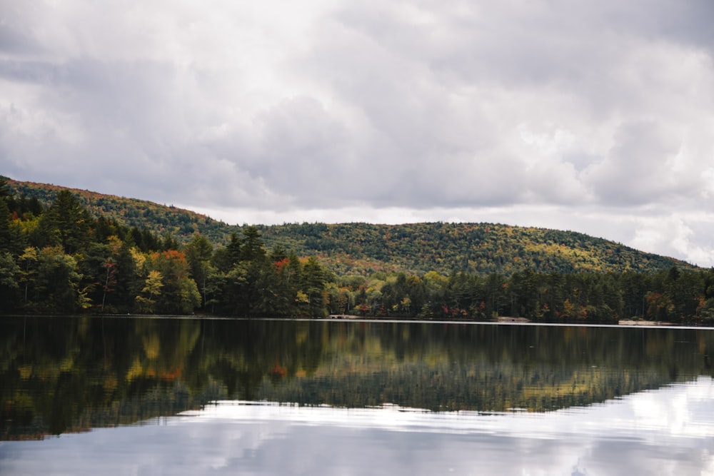 green trees near lake under cloudy sky during daytime