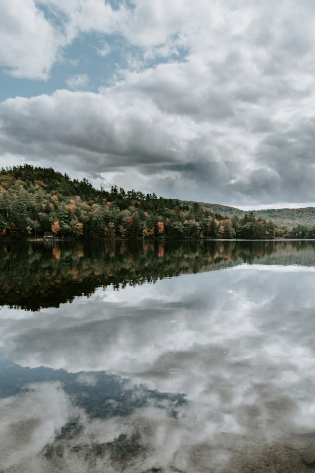 green trees near body of water under cloudy sky during daytime