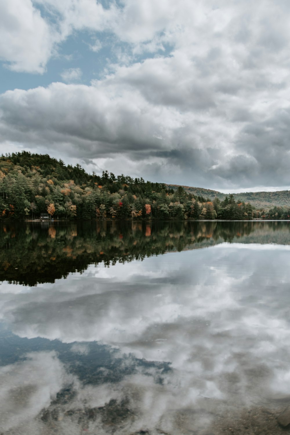 green trees near body of water under cloudy sky during daytime