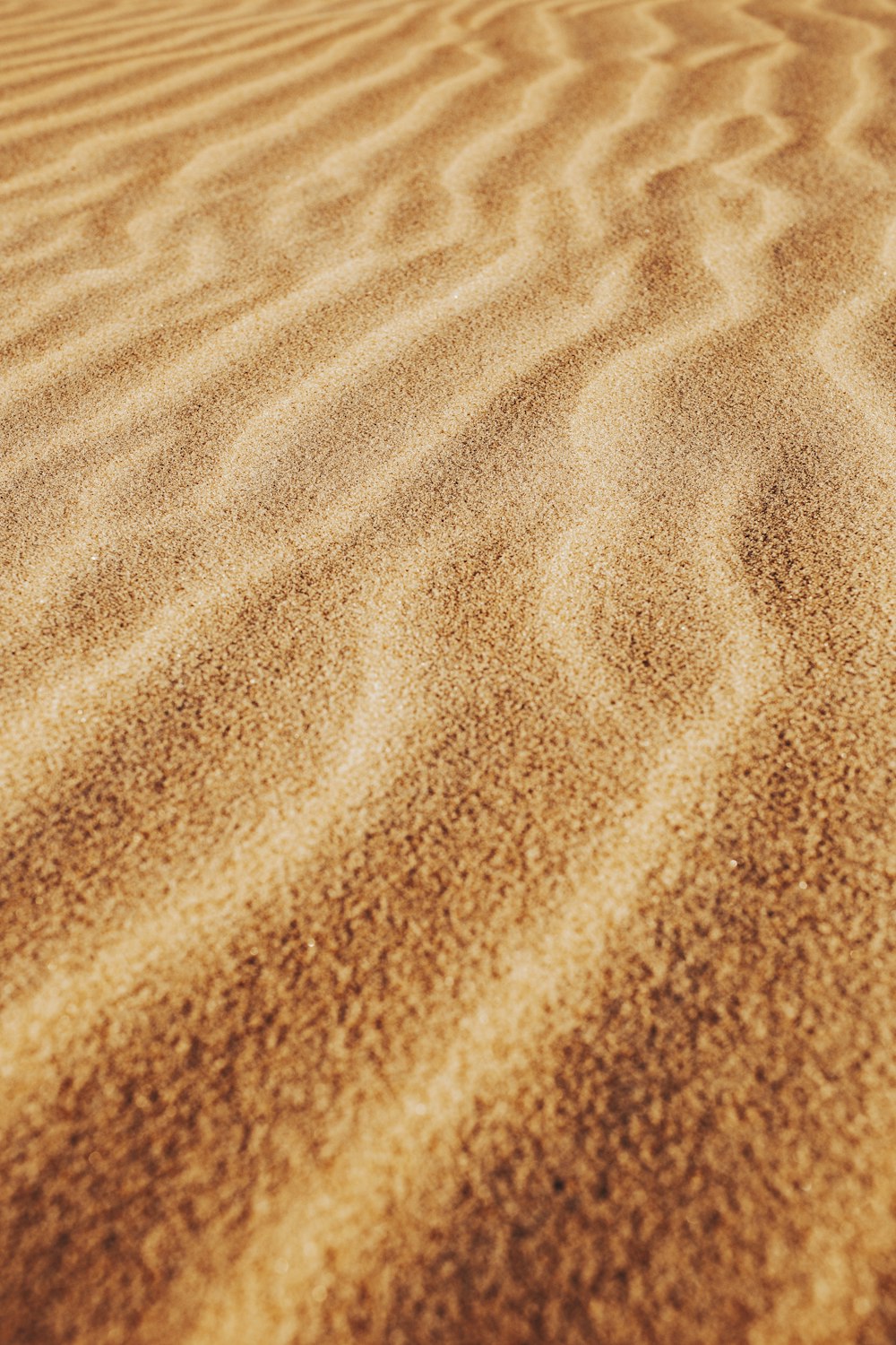 brown sand with shadow of person