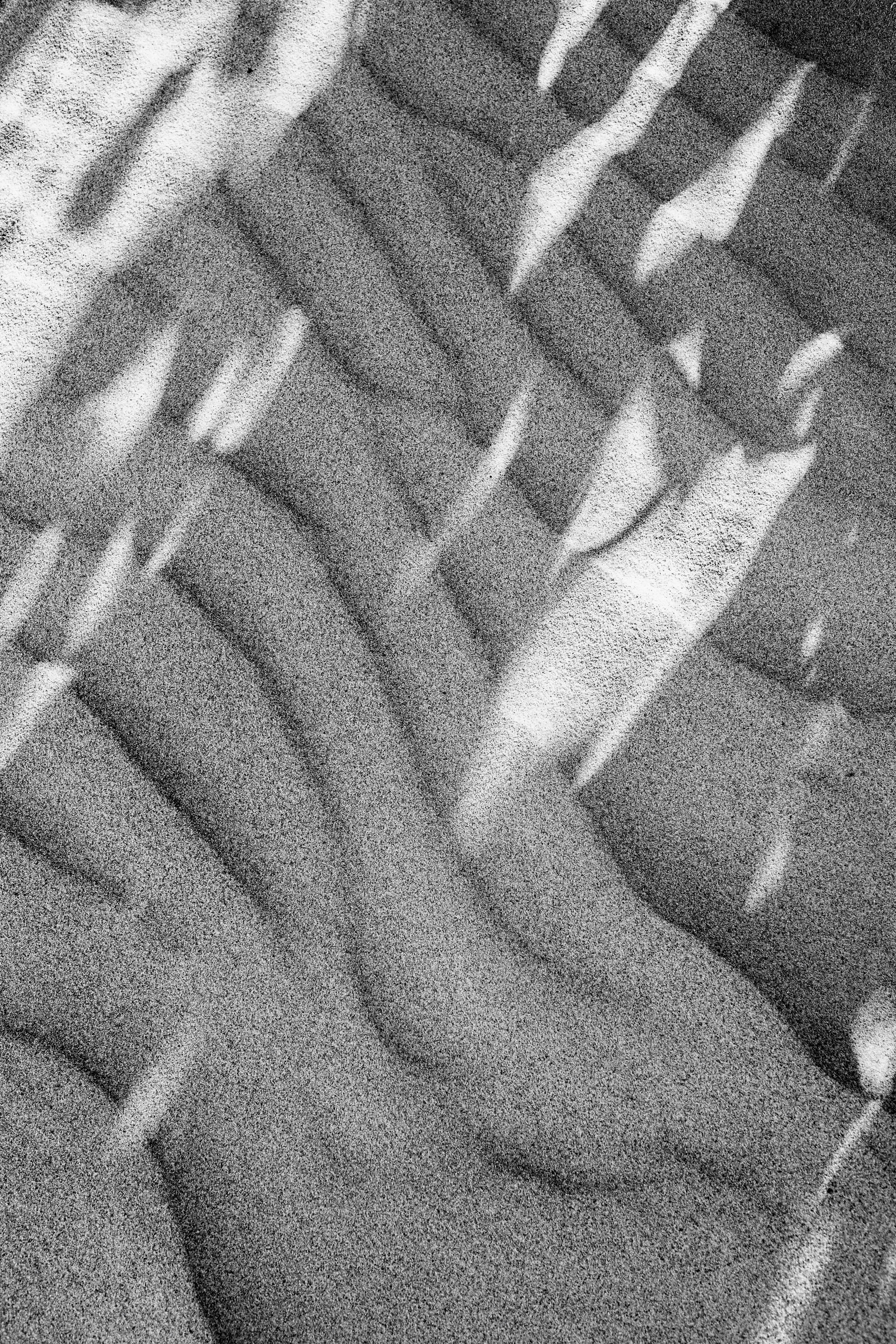 Photo by jonathanborba