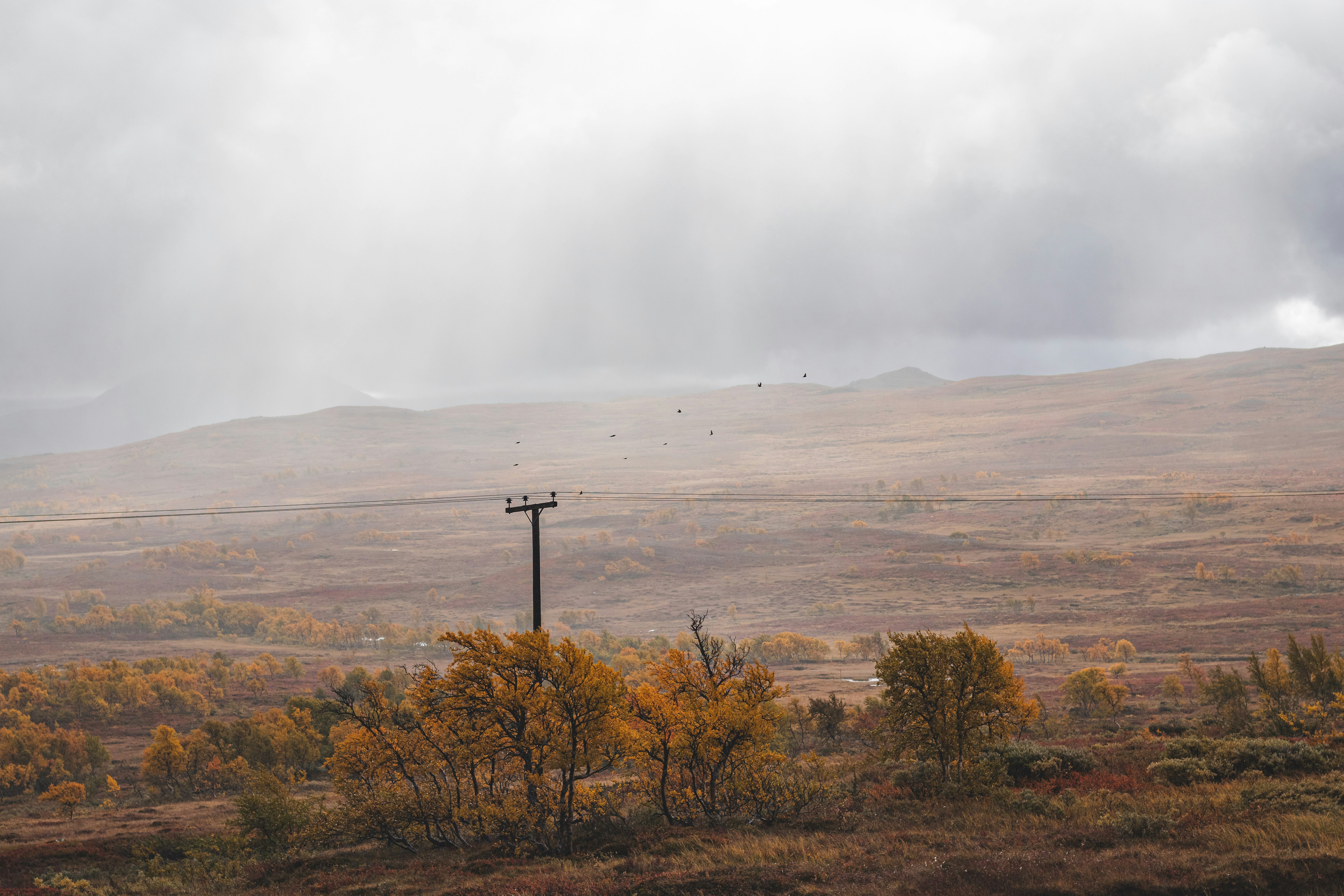 brown grass field with mountain in distance