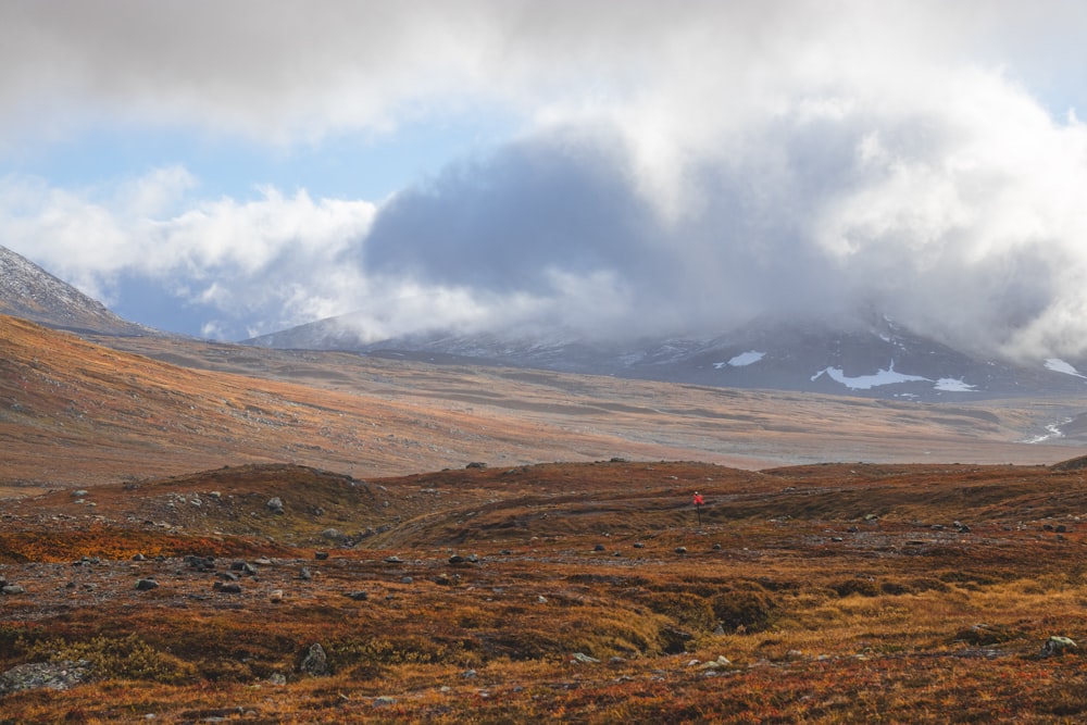 brown and green grass field under white clouds during daytime