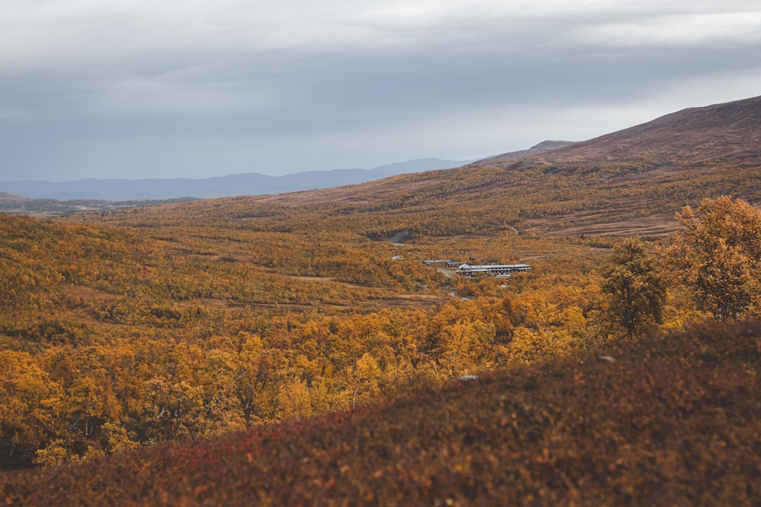 Tundra photo spot Storulvåns fjällstation Helagsfjället