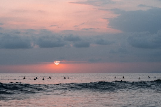 people surfing on sea waves during daytime in Provinz Puntarenas Costa Rica