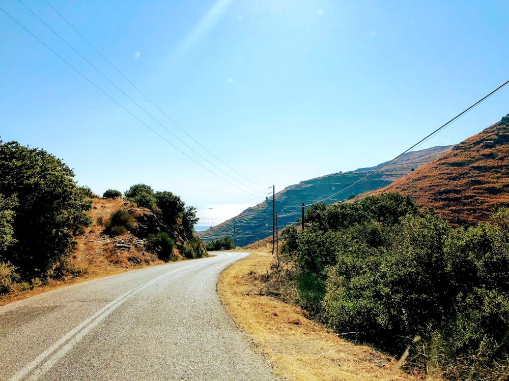 gray concrete road near green trees and body of water during daytime