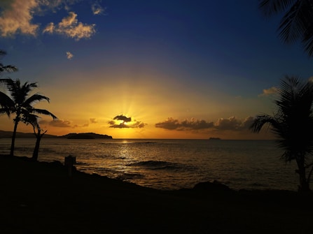 Photo 1601922952156 190896cf99d4?q=85&w=625&h=335&fit=crop