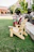 A happy customer sitting in a foldable Adirondack chair on a sunny patio.