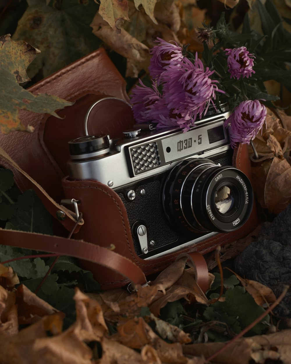 茶色の葉に黒と銀のカメラ
