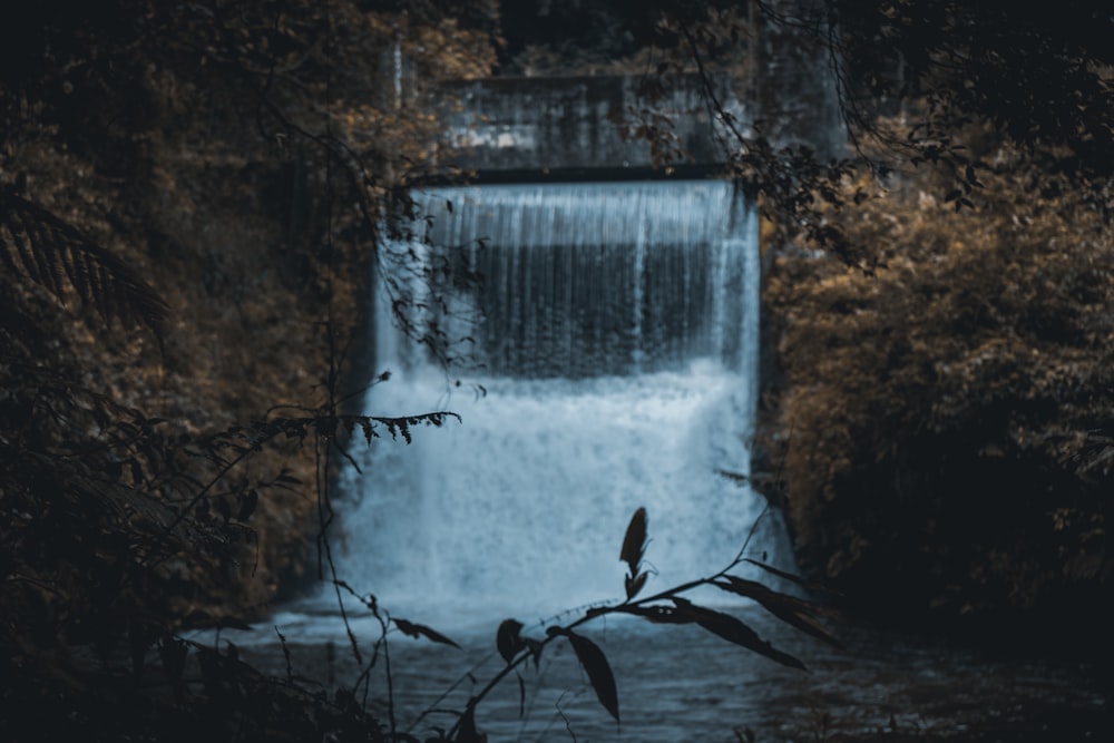 brown tree branch near waterfalls