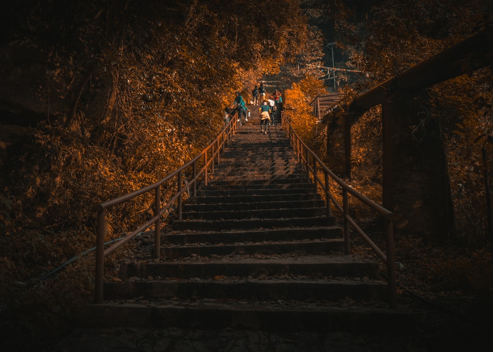 people walking on stairs during daytime