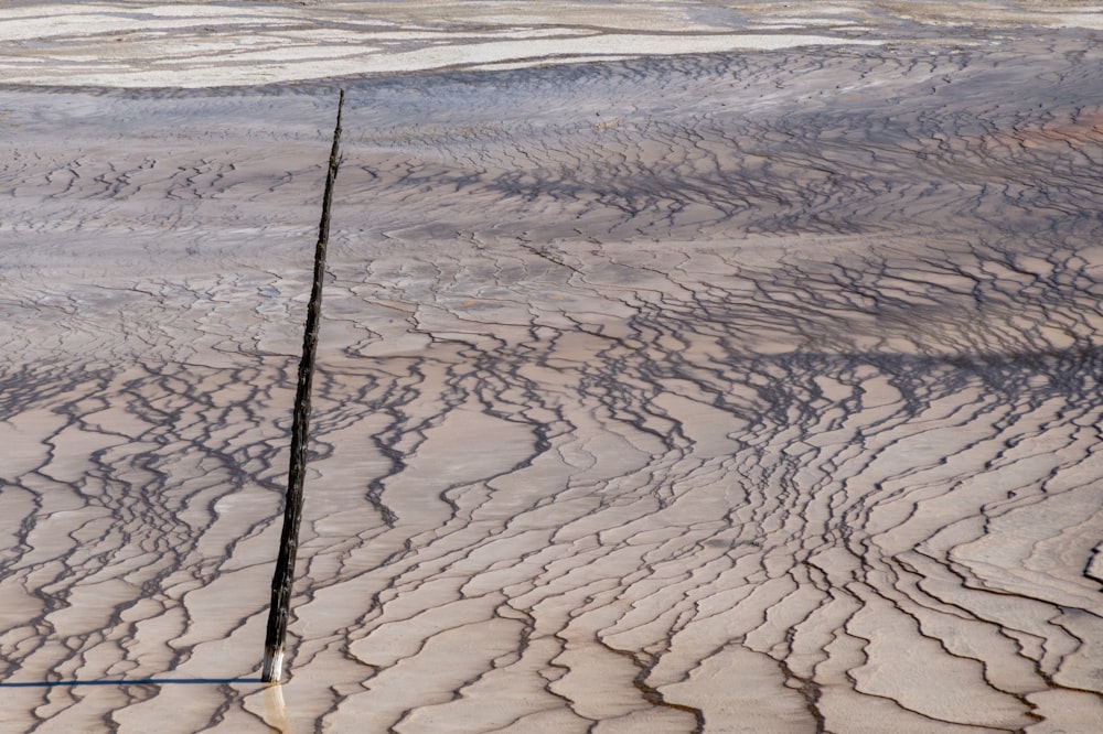 black fishing rod on white sand