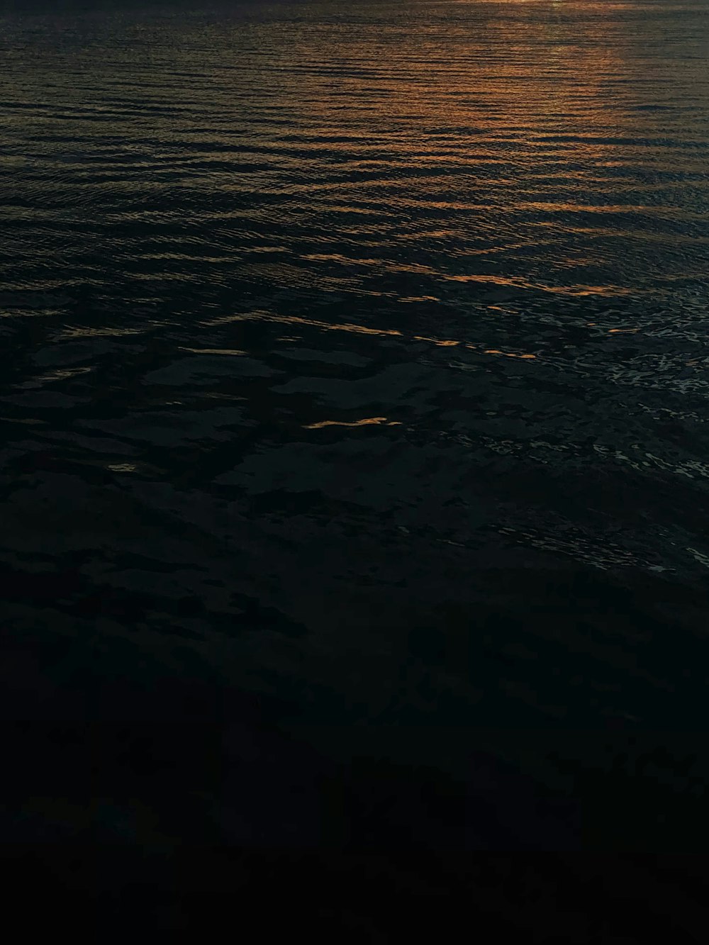 body of water during sunset