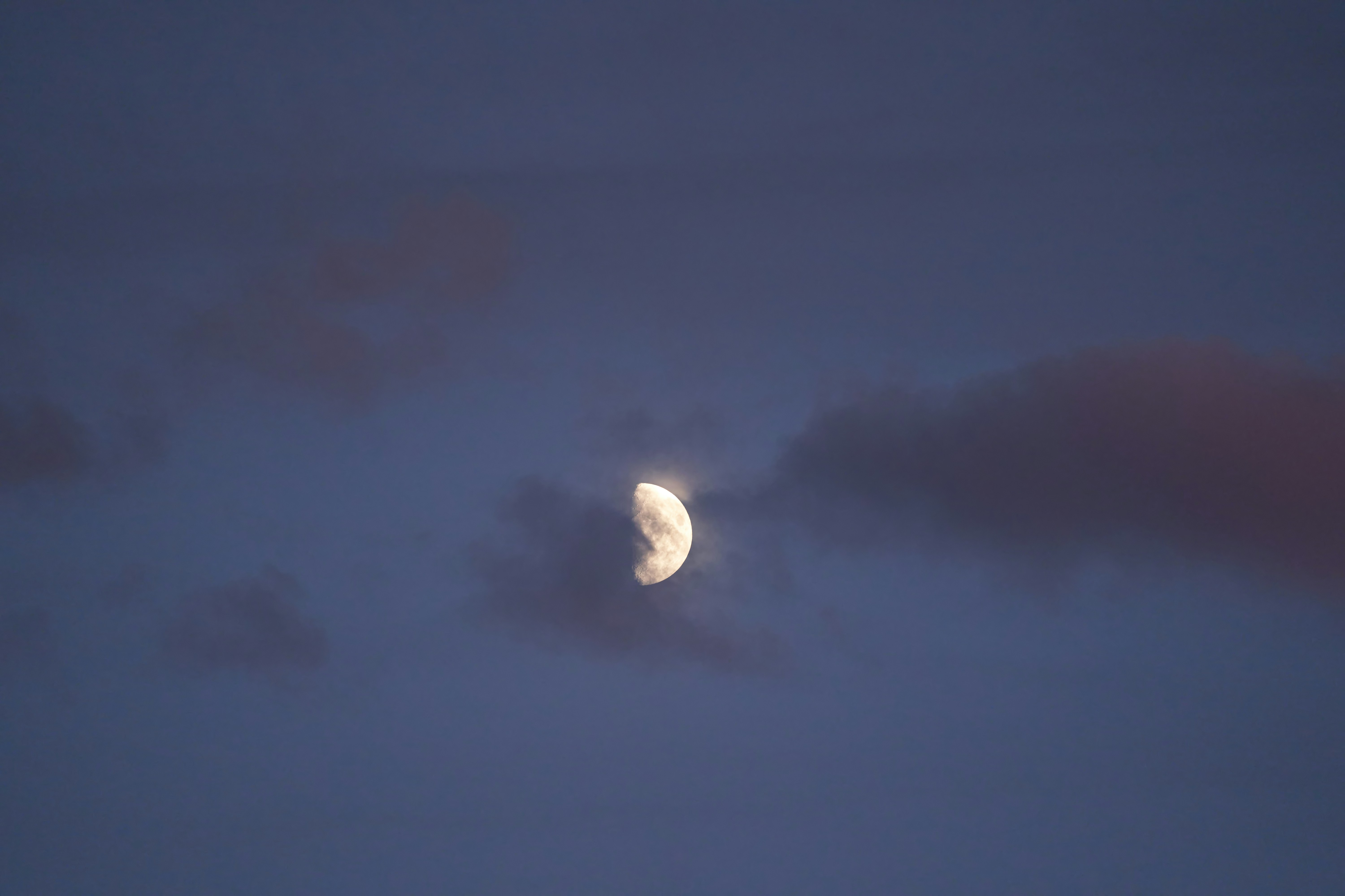 Photo by wolfgang_hasselmann