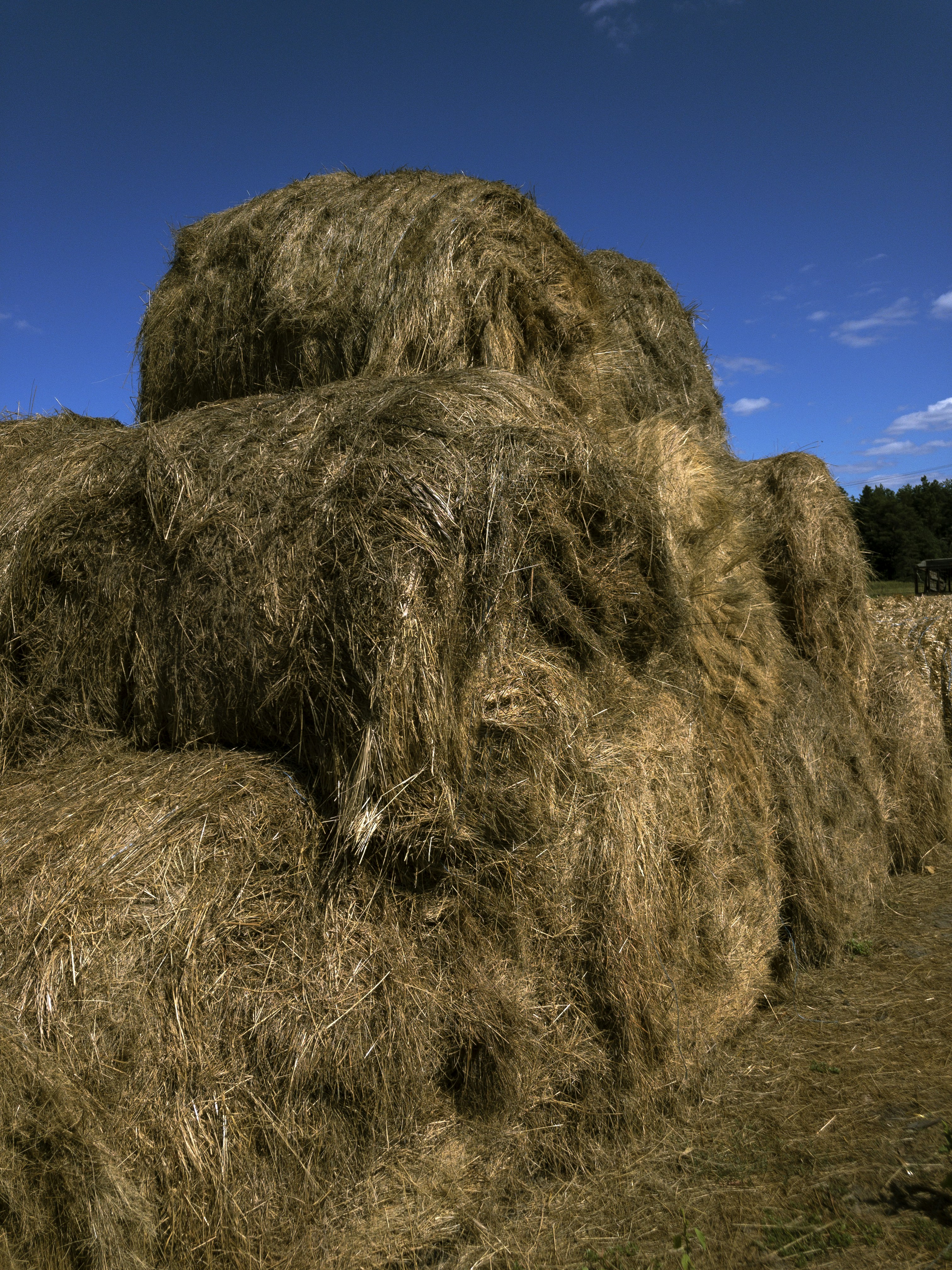 Bolsas Agro Integral