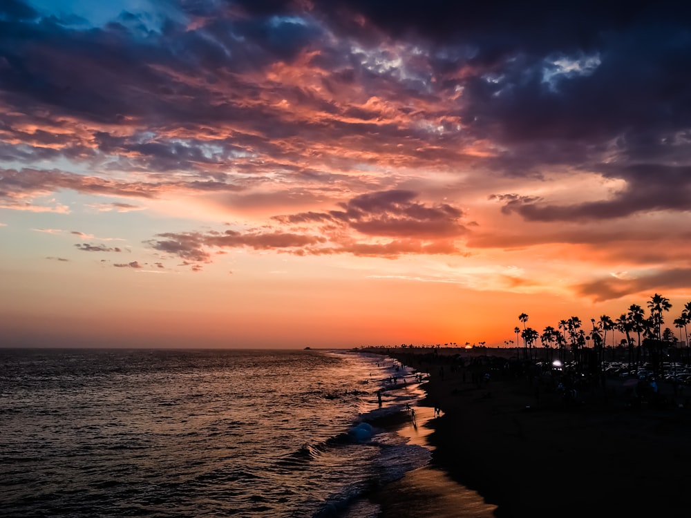 people on beach during sunset