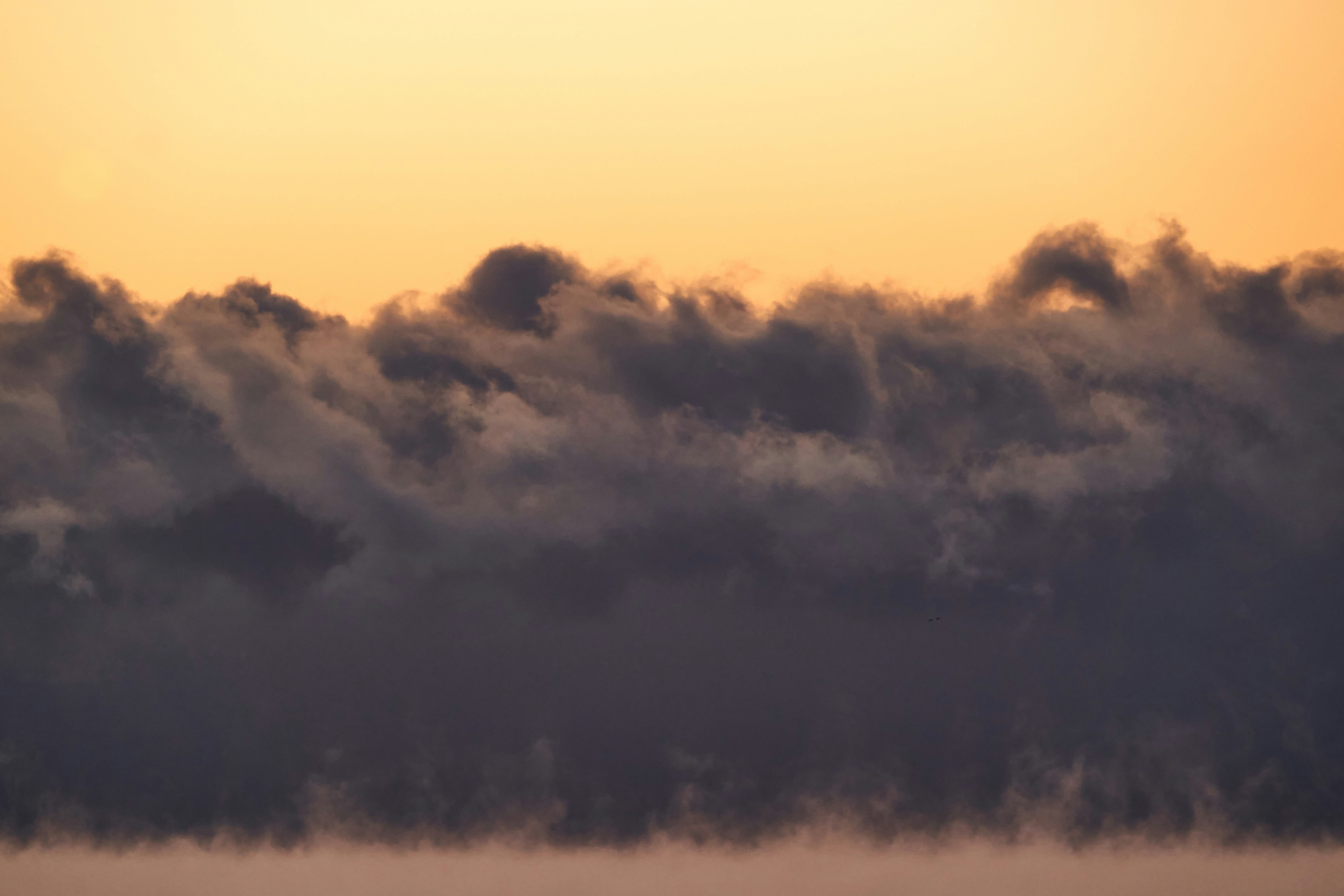 Photo by wolfgang_hasselmann