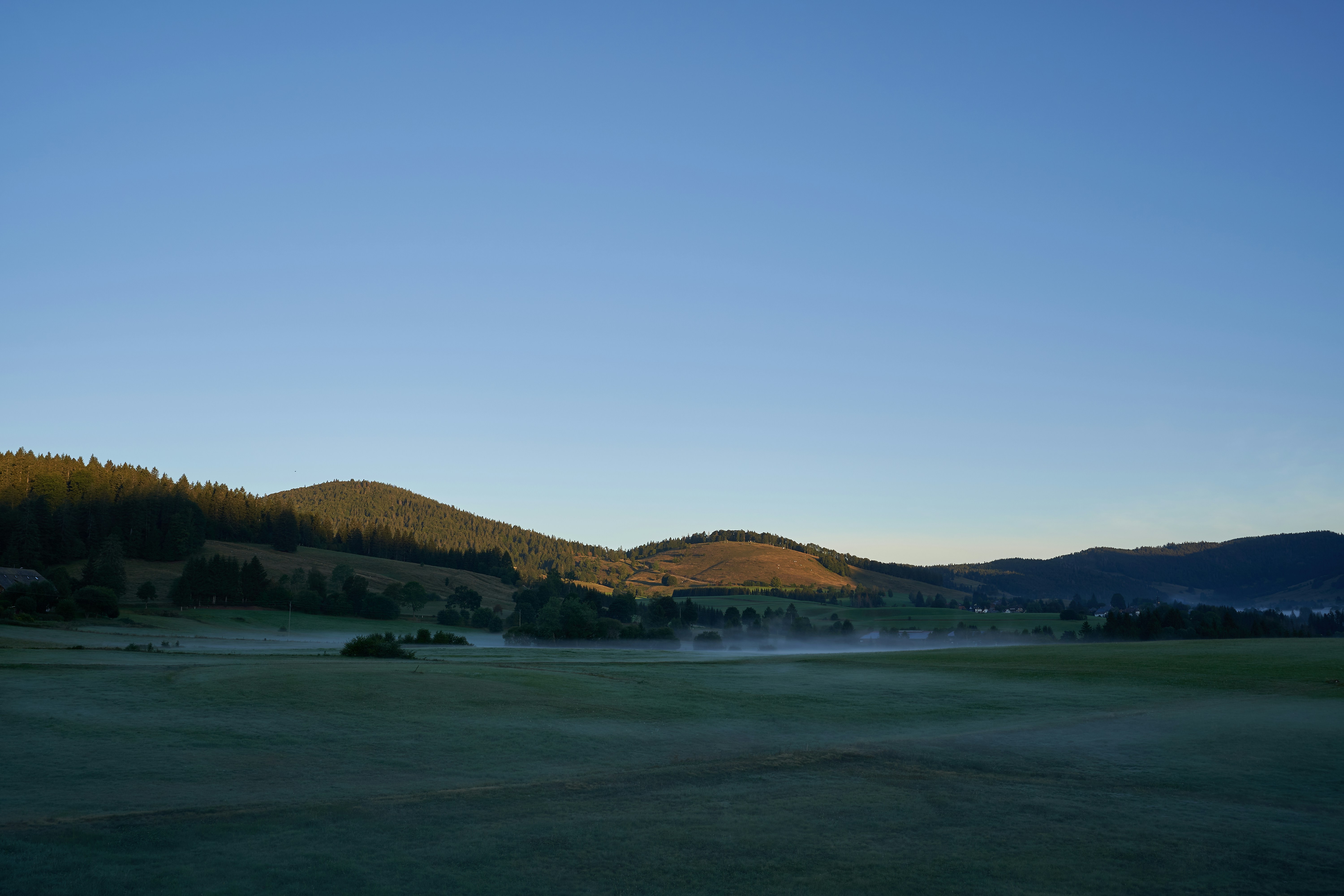 Photo by wolfgang_hasselmann