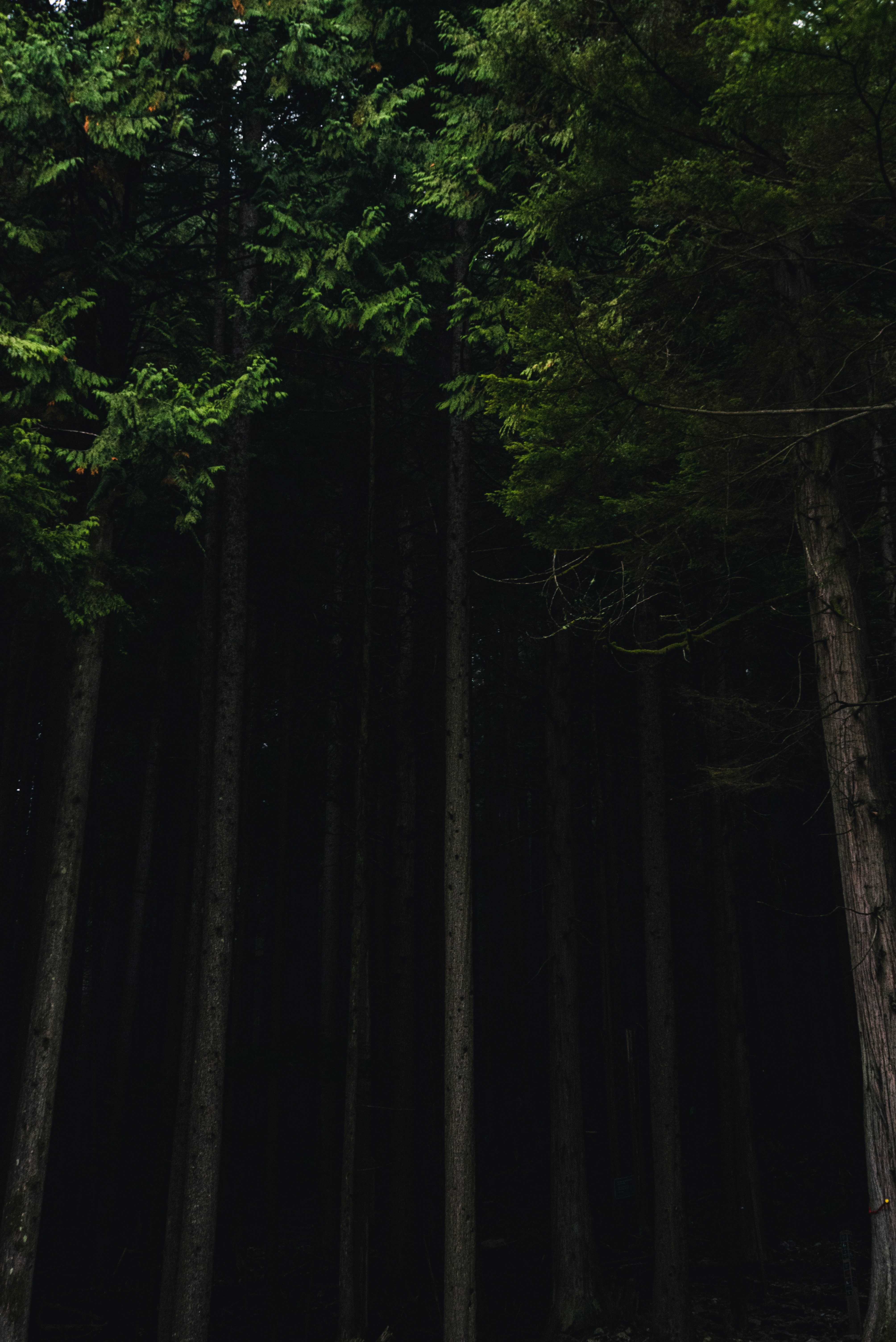 Photo by ryunosuke_kikuno