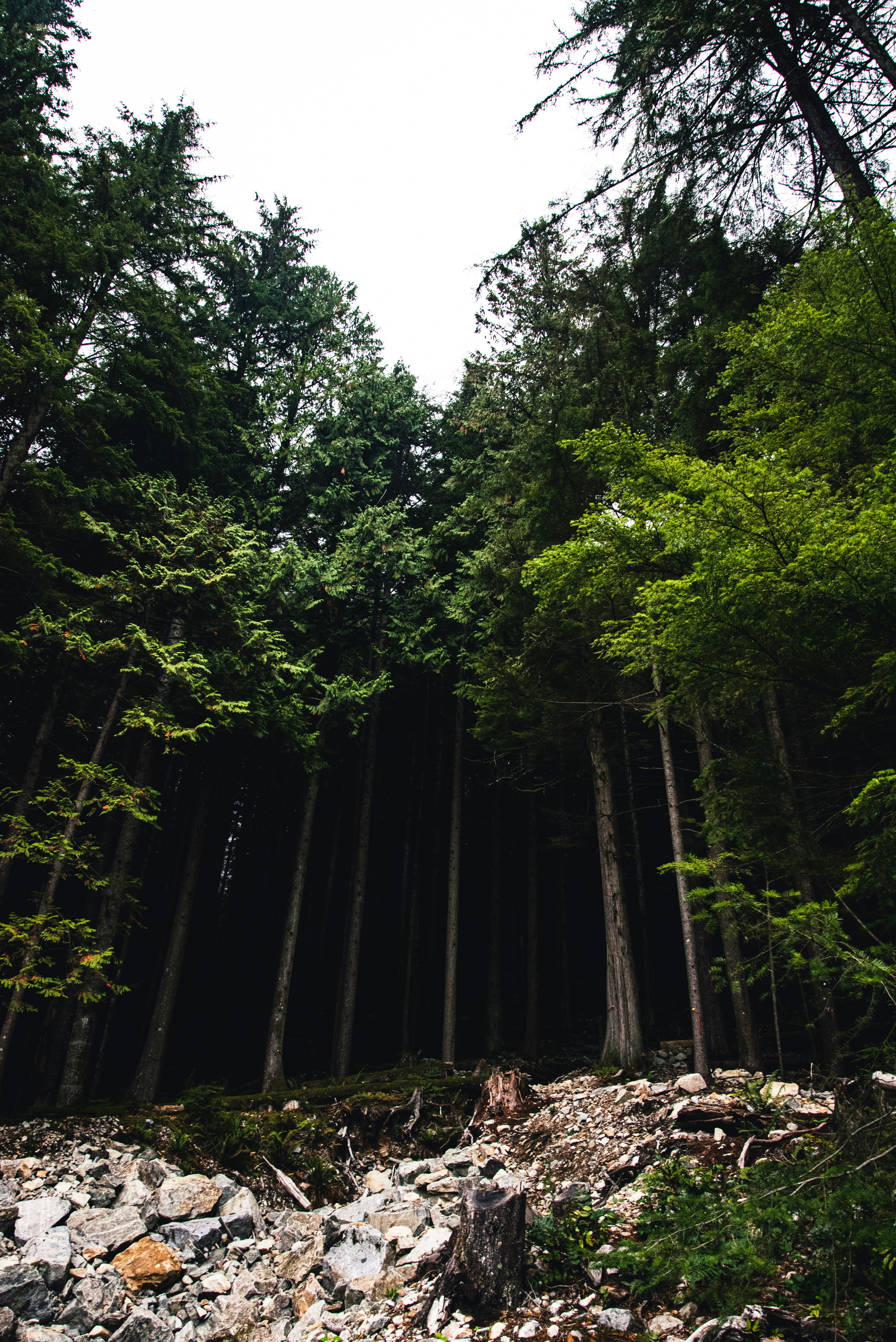 Photo by ryunosuke_kikuno