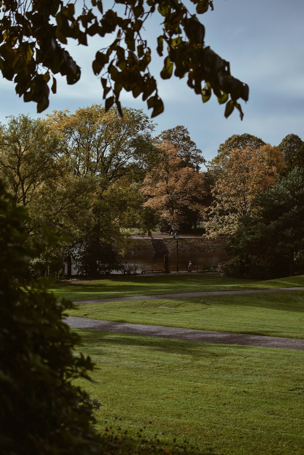 green grass field with trees