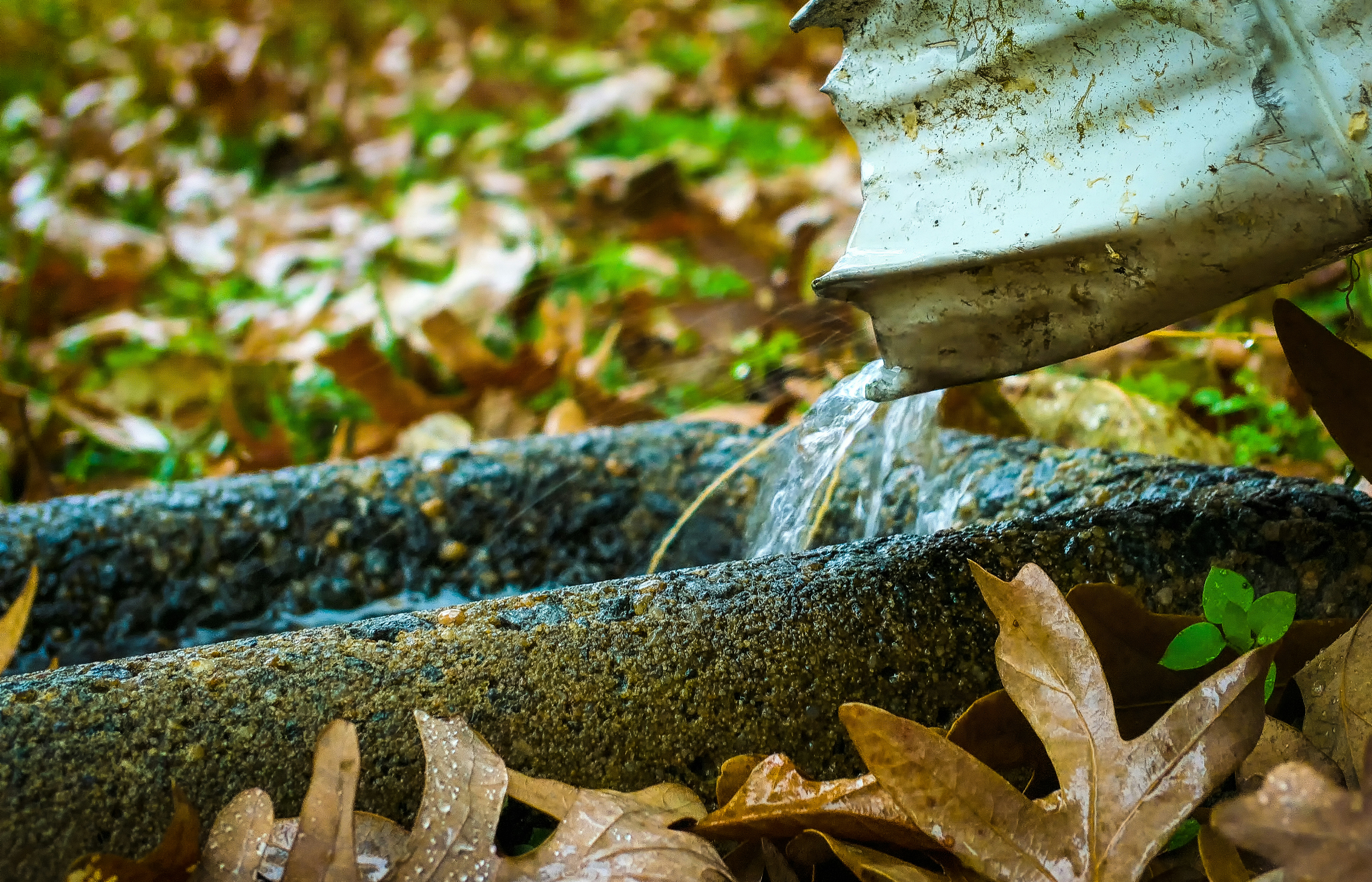 Rain barrel collecting water for winter gardening in a cold climate