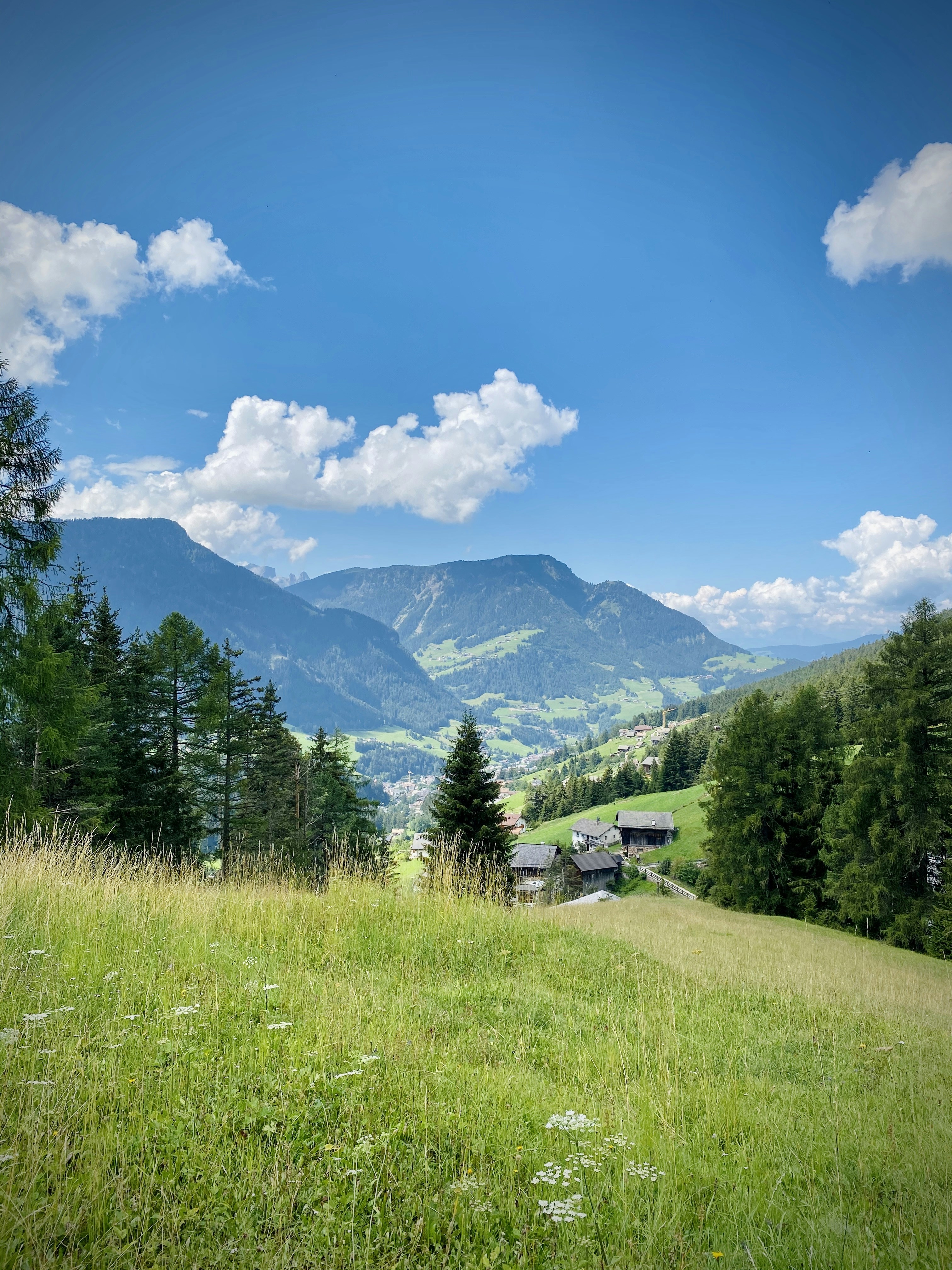 Photo by arnosenoner