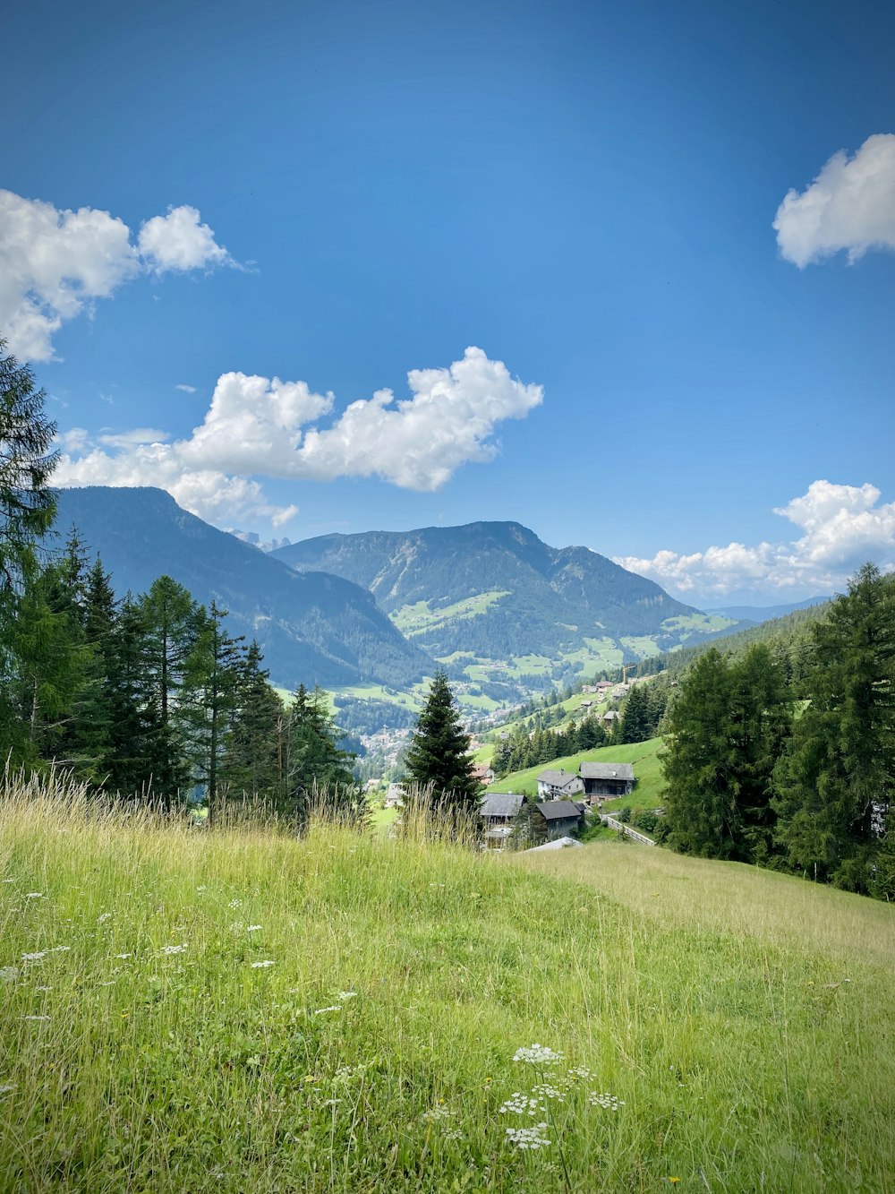 Champ d’herbe verte près des arbres verts et des montagnes sous le ciel bleu et les nuages blancs pendant la journée