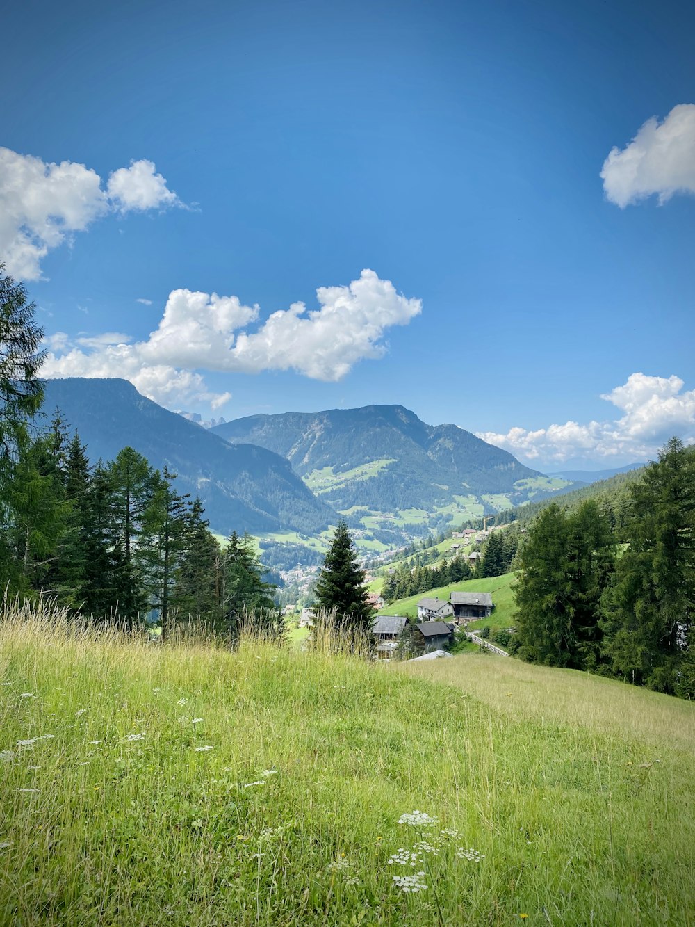 Campo di erba verde vicino a alberi verdi e montagne sotto cielo blu e nuvole bianche durante il giorno
