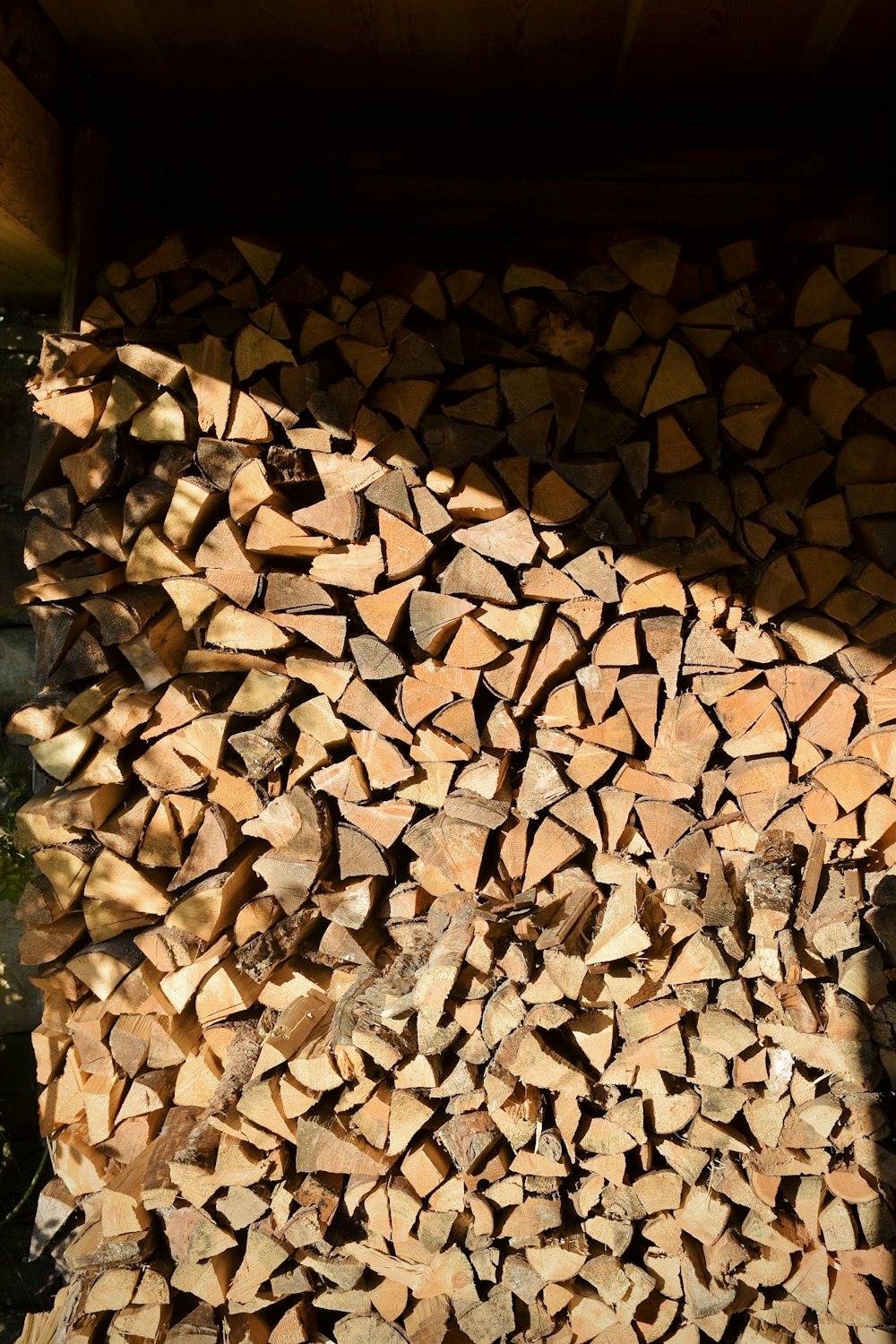 brown and white firewood lot
