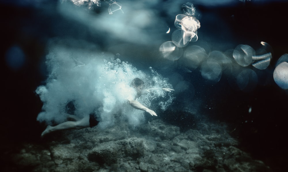 white and blue jellyfish under water